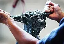 soapy.webp