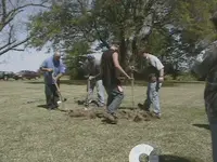 DCAM0088.webp