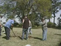 DCAM0089.webp