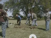 DCAM0090.webp