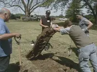 DCAM0091.webp