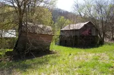 matson1.webp