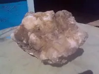coral rock1.webp