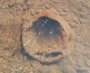 weird hole.webp