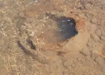 weird hole2.webp