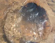 weird hole3.webp