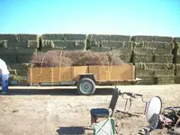 DSCN3973.webp