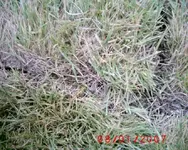 S1010008.webp