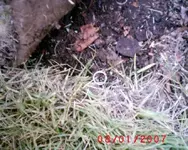 S1010009.webp