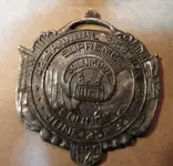 council badge.webp