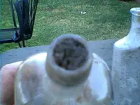 Fig003.webp