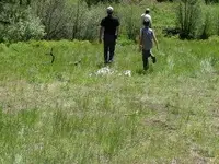 DSC01961.webp