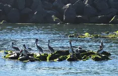 IMG_7370 (4).webp IMG_7370 (4).webp