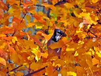 K1024_DSCN0894.webp