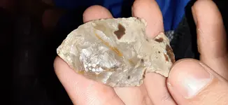 20200808_203502.webp