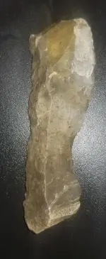 000jjj.webp