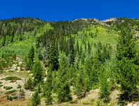 20200904_054147.webp