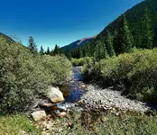 20200904_054130.webp