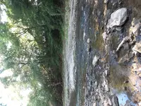 20200808_173540.webp