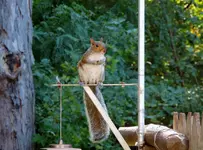 K1024_DSCN0712.webp