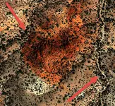 unnamed (1).webp
