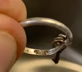 ImageUploadedByTreasureNet.com1602461243.814783.webp