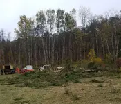 20201011_200653.webp