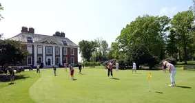 golf 2.webp