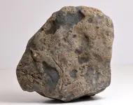 ugly rock with magnetite.webp
