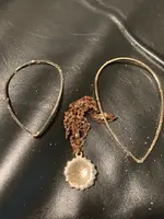 Beach Finds 2.webp