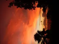 6D495A8C-5210-46F3-9866-93BAF968B17E.webp