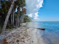 D06E0A2C-6F93-4926-9CE0-CA982E079830.webp