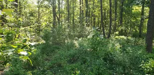20200920_152514 - Copy.webp