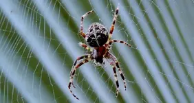 DSCN0622.webp