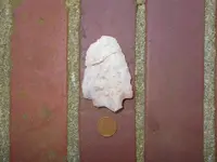 DSCN2113.webp