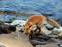 K1024_DSCN9981_InPixio.webp