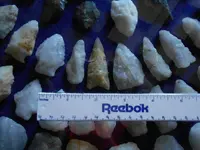 DSCN2117.webp