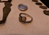 P1090651.webp
