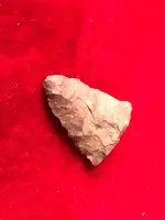 ImageUploadedByTreasureNet.com1603500230.608142.webp