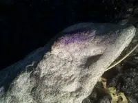 20201012_183942.webp