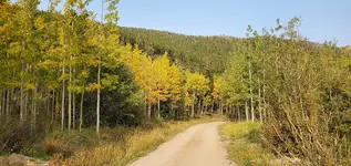 20200916_165915.webp