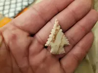 20200916_223947.webp