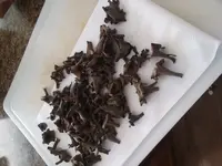 20200826_152549.webp