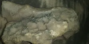 20200929_215713.webp