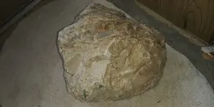 20200921_113542.webp