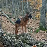 20201023_203241-crop.webp