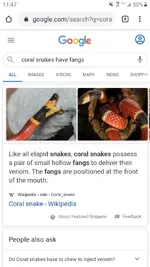 Screenshot_20200906-114723_Chrome.webp