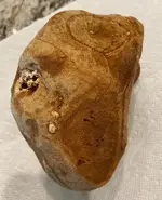 Rock  2.webp