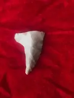 ImageUploadedByTreasureNet.com1604603884.149206.webp