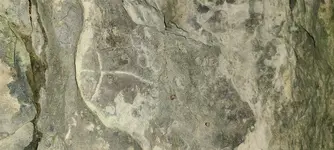 20200930_190129.webp
